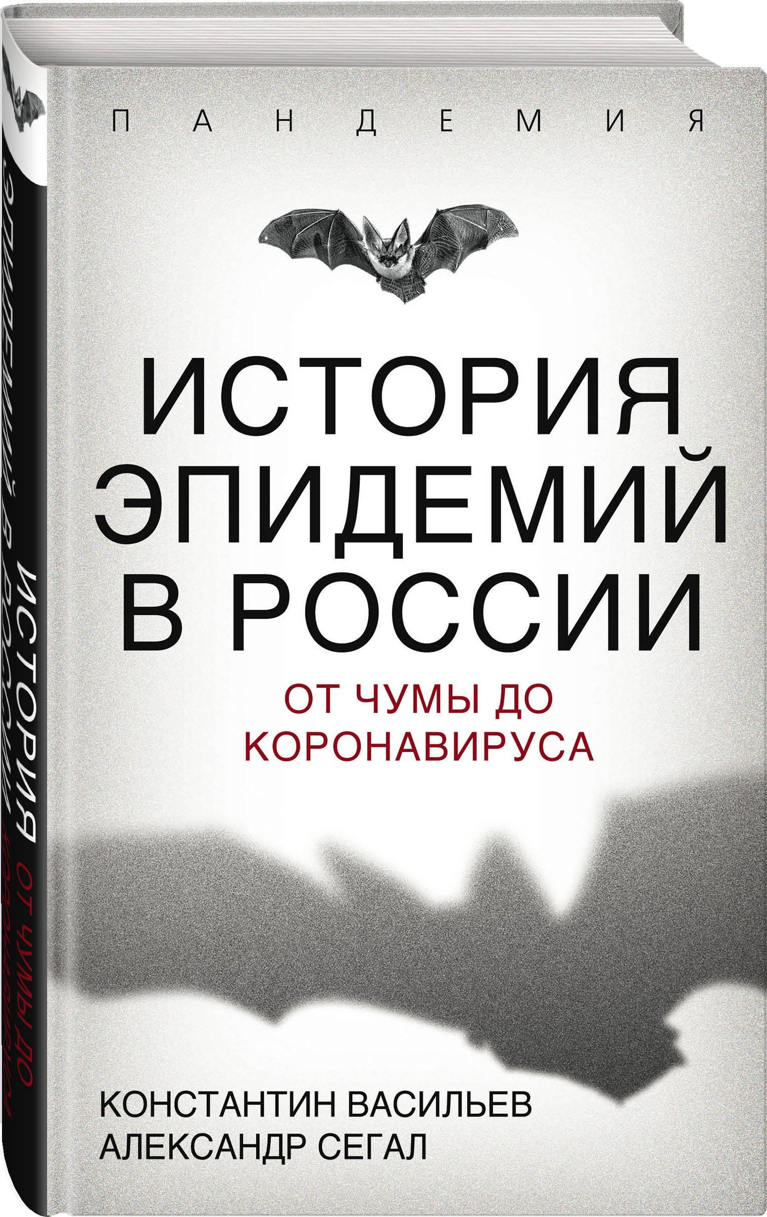 История эпидемий в России. От чумы до коронавируса | Васильев Константин Георгиевич, Сегал Александр Евсеевич