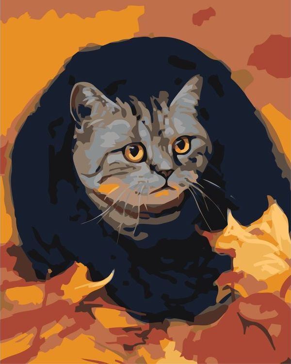 Картина по номерам шотландский кот