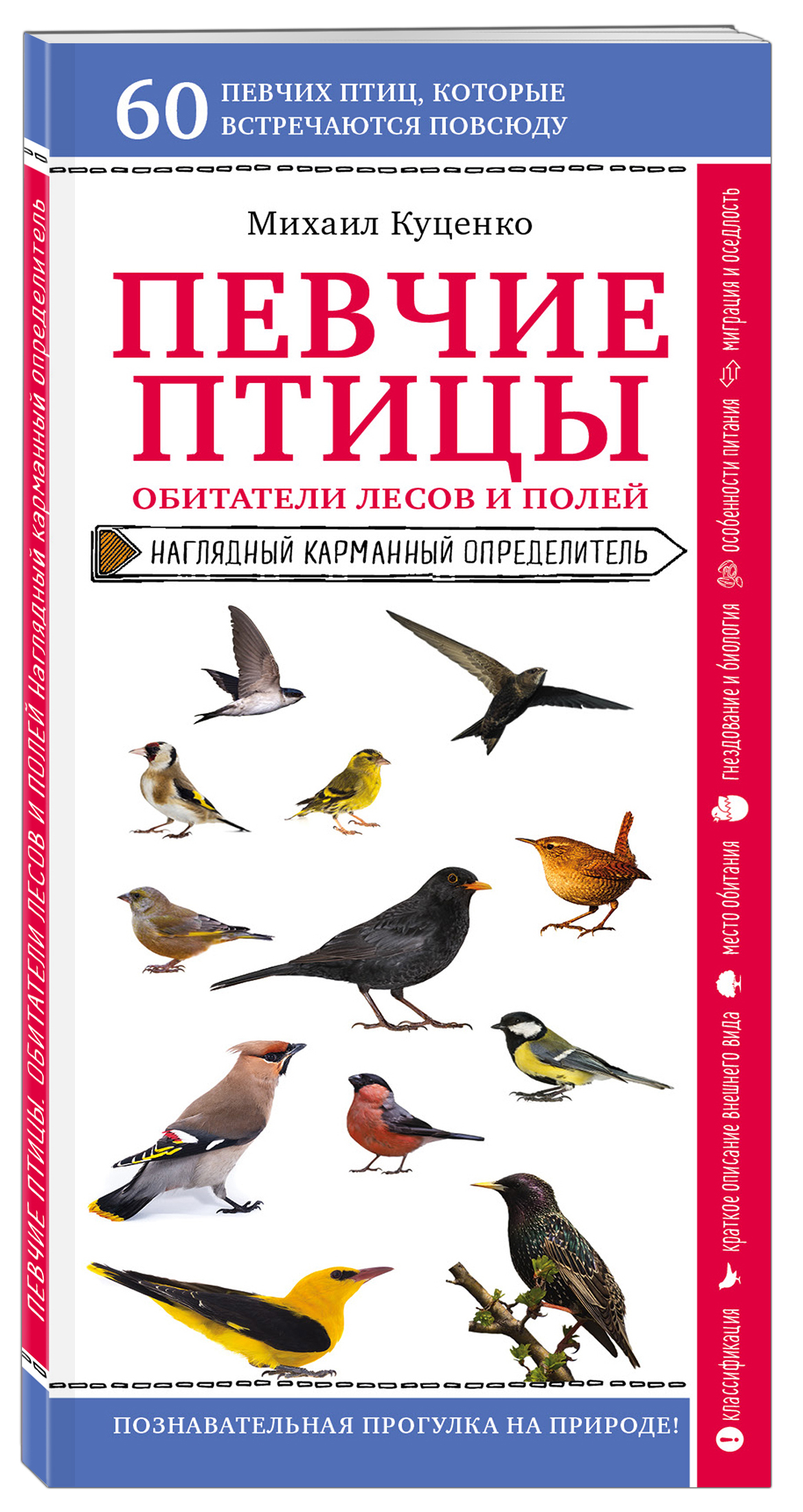 Певчие птицы. Обитатели лесов и полей | Куценко Михаил Евгеньевич - купить  с доставкой по выгодным ценам в интернет-магазине OZON (253329039)