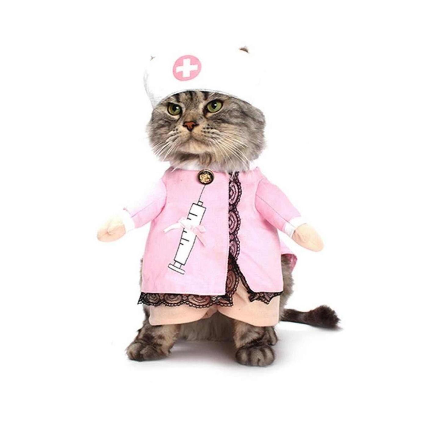 Маскарадные костюмы для кошек
