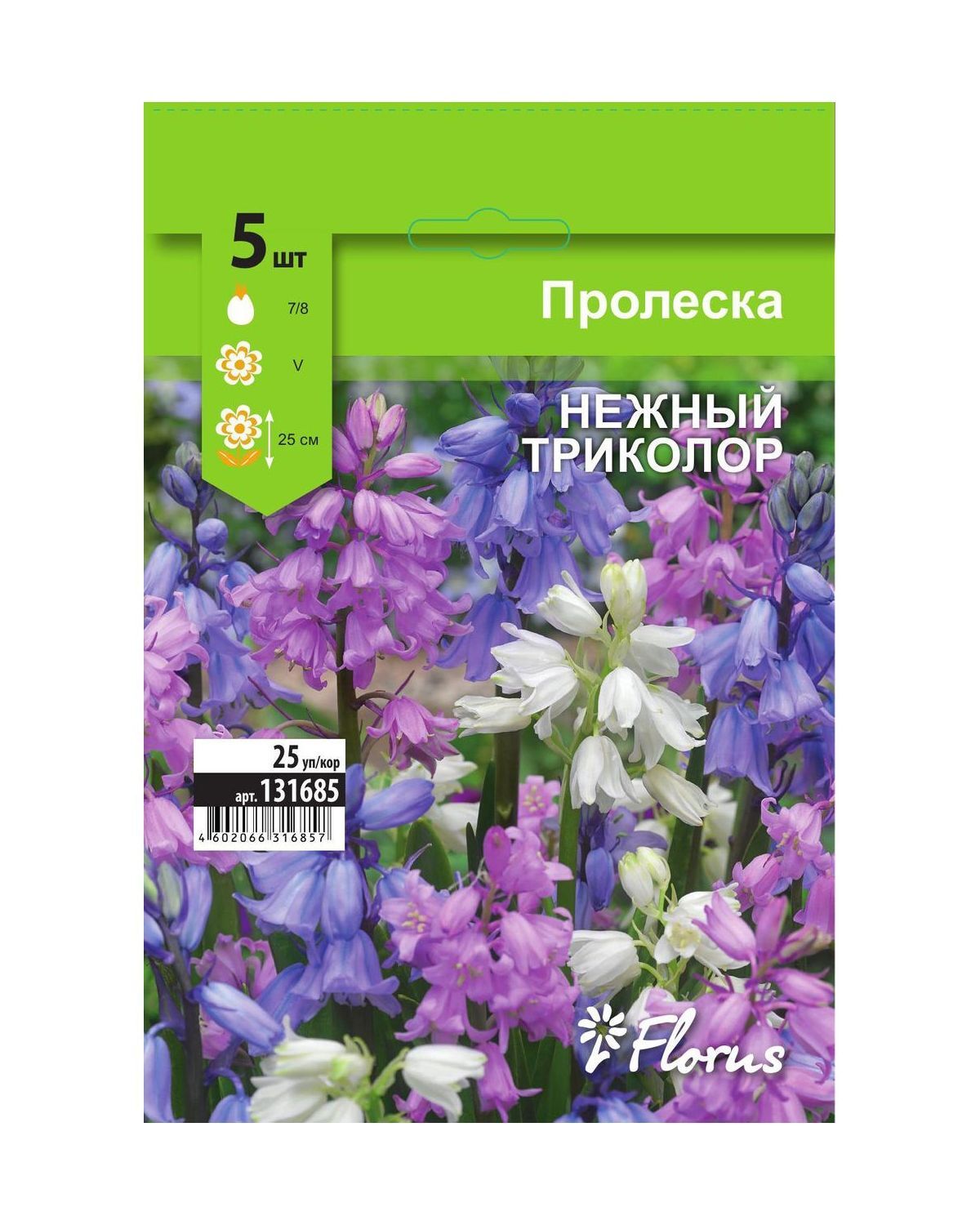 Интернет Магазин 5 Отзывы