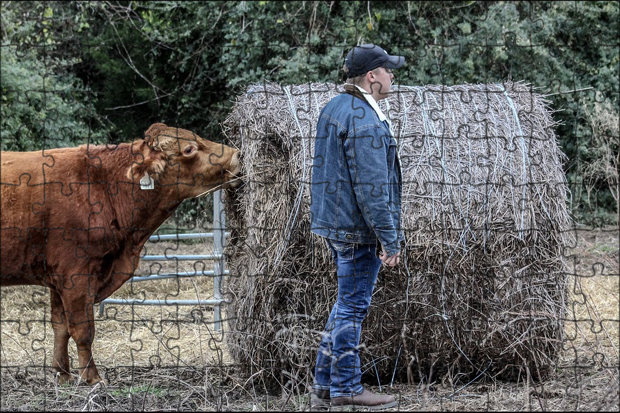 Фермер в поле. Фермер см. Пшеница для мужчин. Samoq qishlog'i. Фермер см.