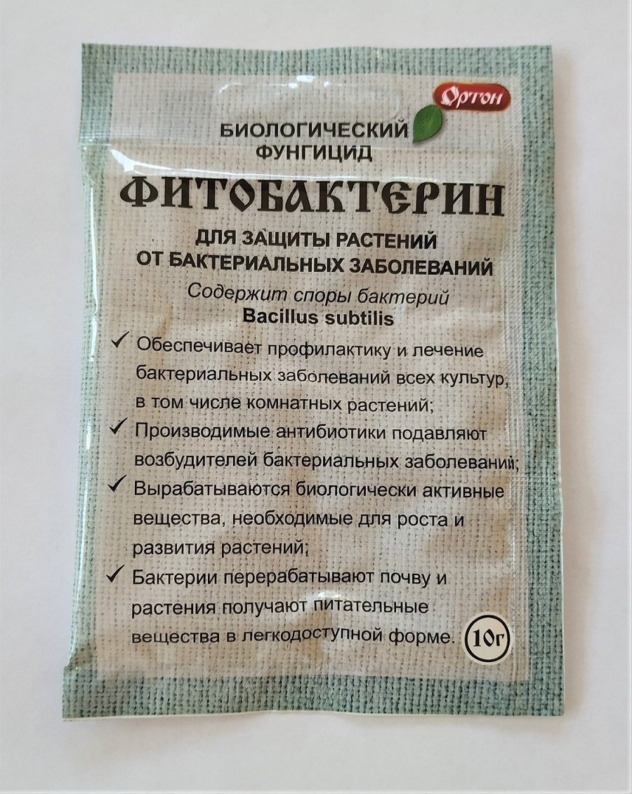 Чем заменить фунгициды в домашних условиях
