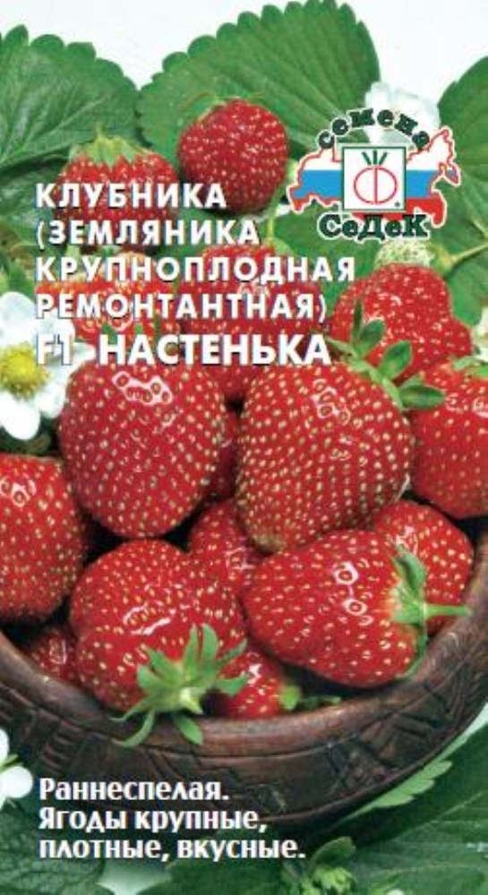 Клубника настенька. Земляника Настенька ремонтантная крупноплодная f1(СЕДЕК) Ц. Земляника Настенька f1. Земляника Настенька f1 15шт. Фирма "СЕДЕК" ремонтантная клубника (земляника).