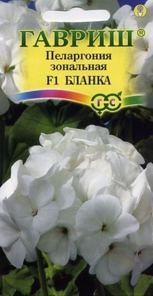 Семена Цветов Купить Герань