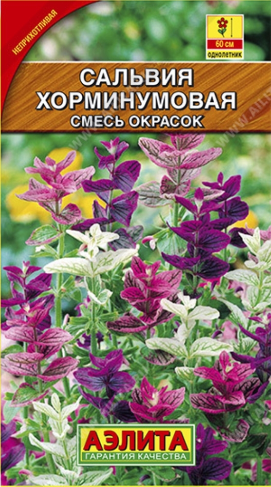 Сальвию хорминумовую. Сальвия хорминумовая семена. Сальвия хорминумовая Аэлита. Сальвия хорминумовая рассада. Сальвия смесь Аэлита.