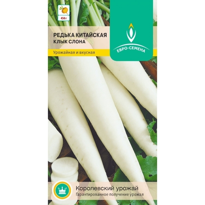 Гавриш. Дайкон клык. Дайкон клык. Дайкон белый клык. Редька китайская клык слона.