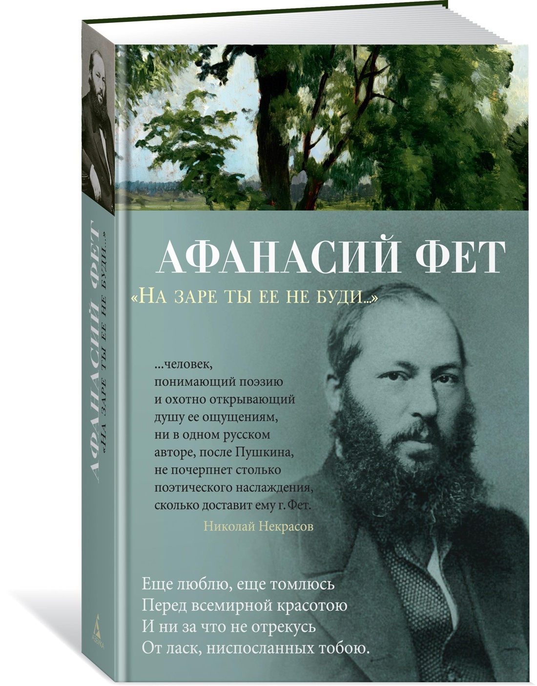 книги фета картинки