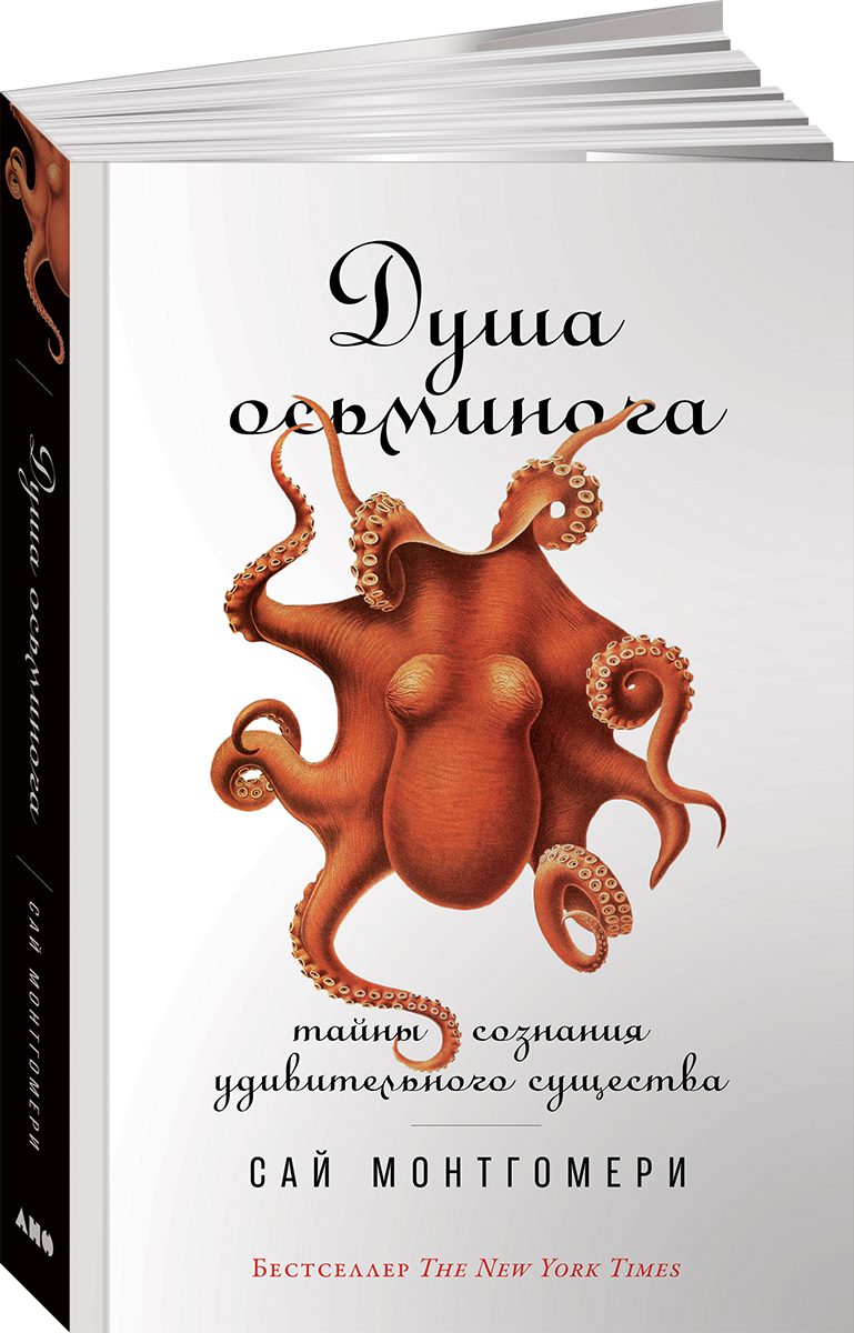 Душа осьминога. Тайны сознания удивительного существа | Монтгомери Сай