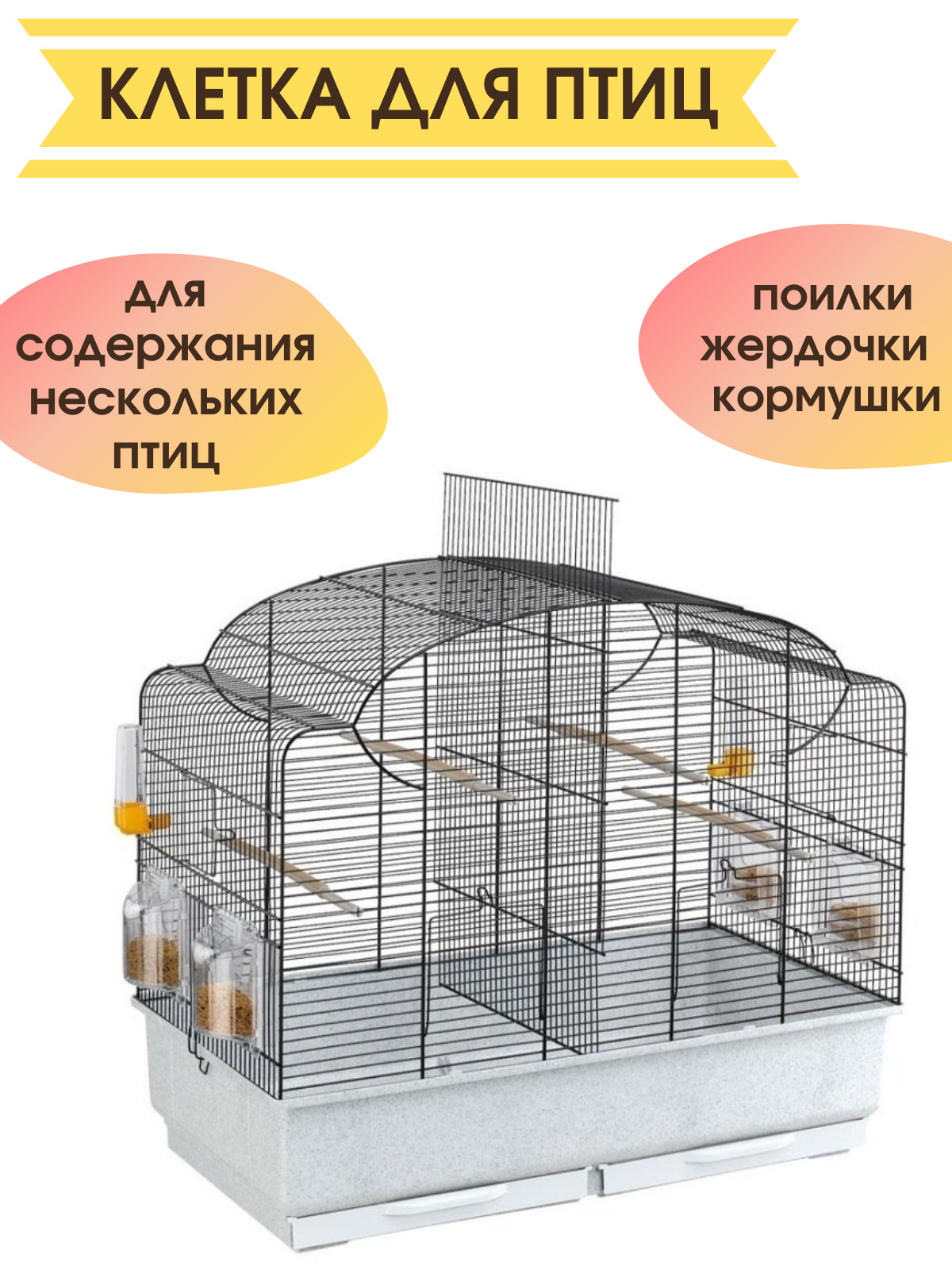 Канарейка Купить В Москве Зоомагазин Цена