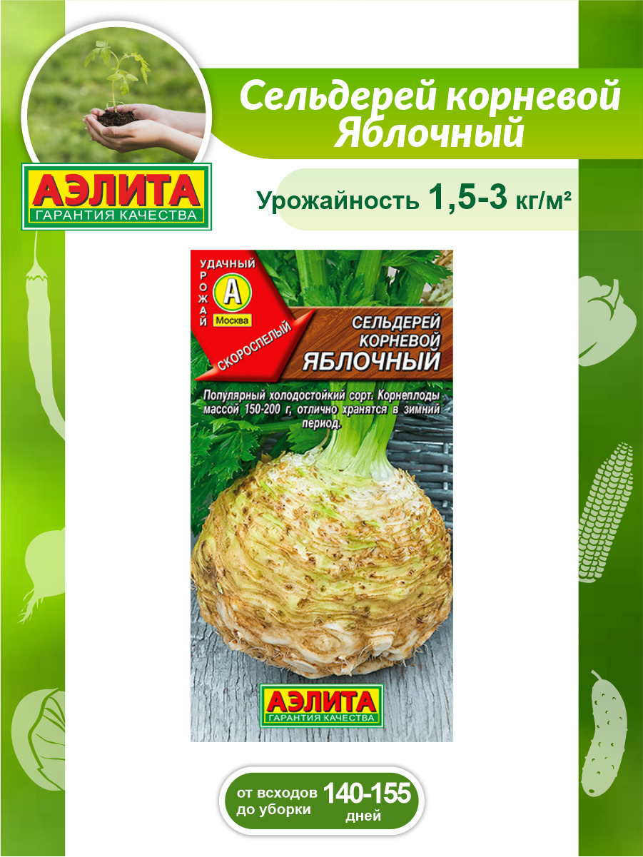 Корень Сельдерея Купить В Аптеке