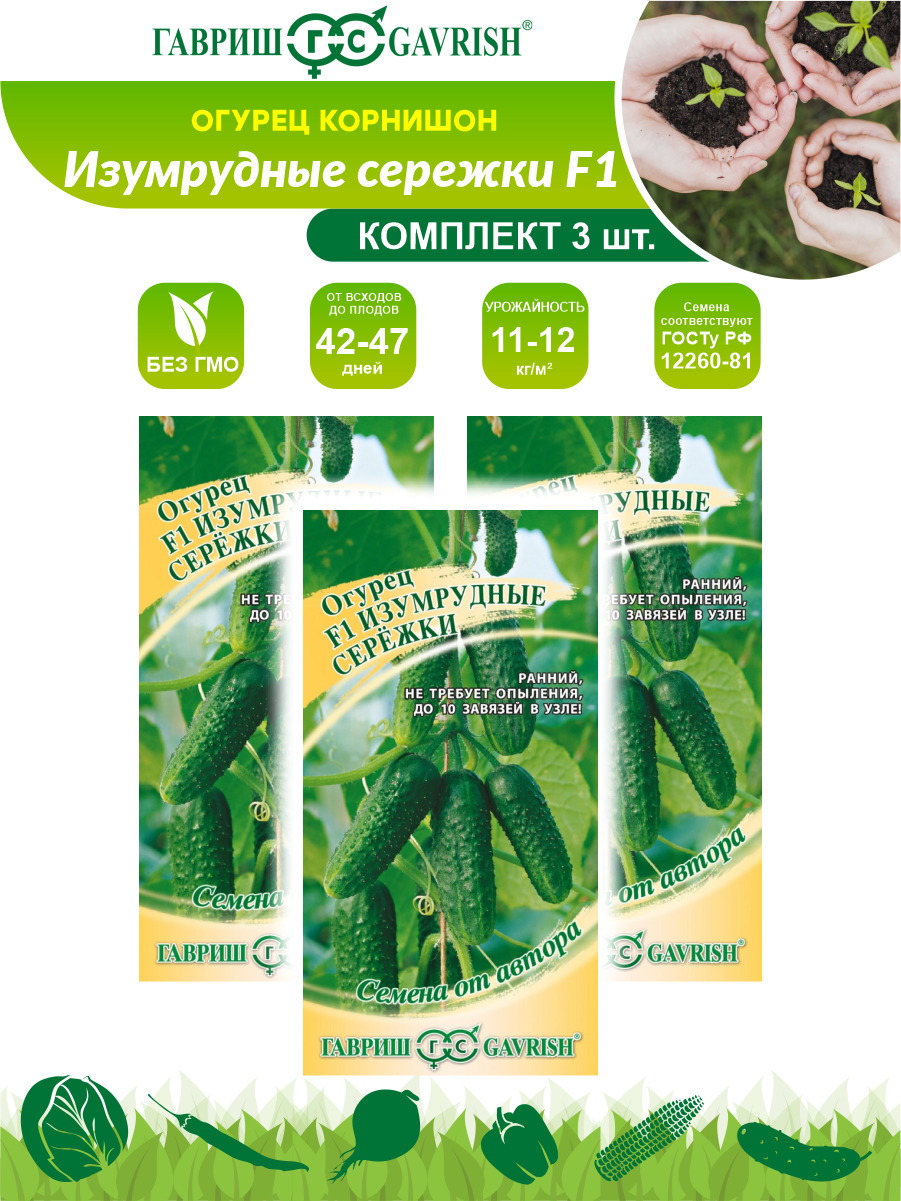 Огурцы Изумрудная Сережка Отзывы Фото