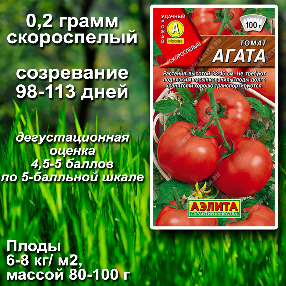 Томат Агата Характеристика И Фото