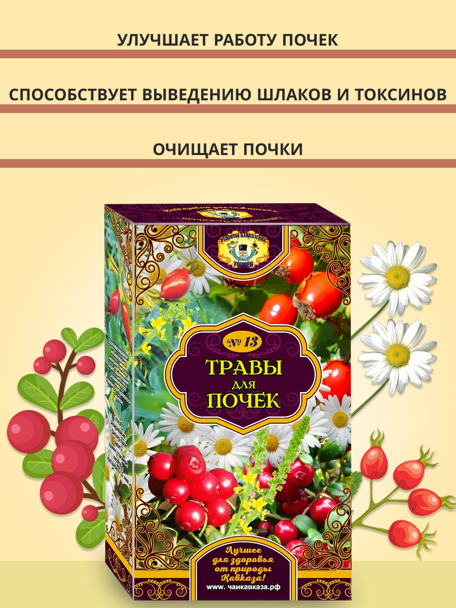 Очищение почек в домашних условиях - Центр очищения организма Алматы