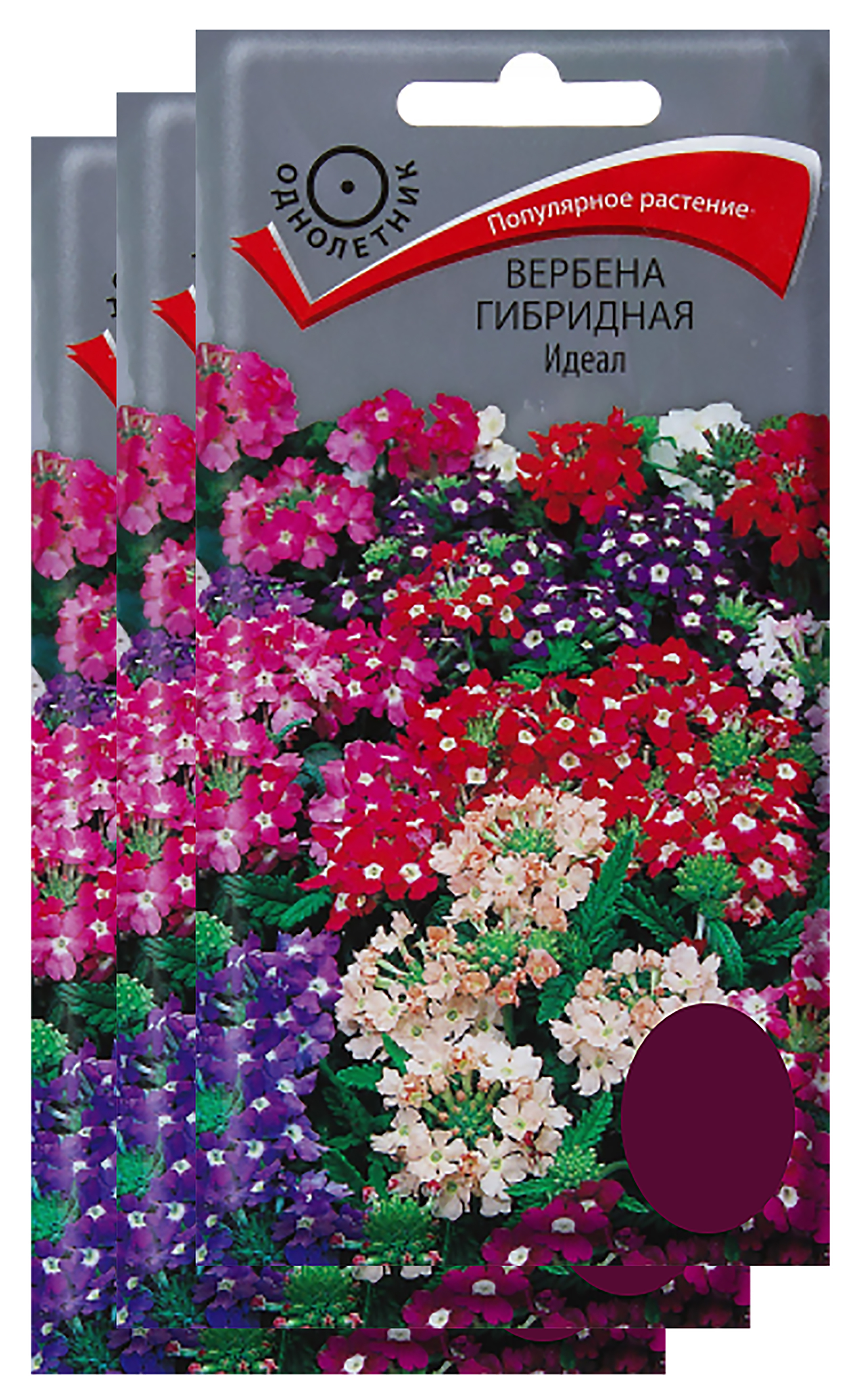 Семена сад поиск. Вербена гибридная идеал. Вербена идеал, смесь (0,2г). Цветы Вербена идеал. Вербена Эйрена гибридная.