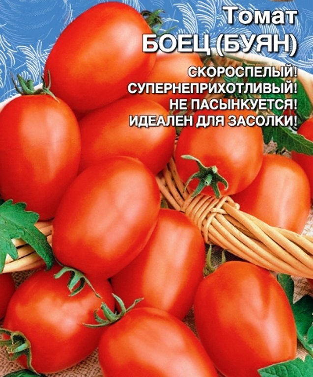 Помидоры буян описание сорта отзывы. Томат боец (Буян). Семена томат Буян красный. Семена томат боец (Буян). Сорт помидор Буян боец.