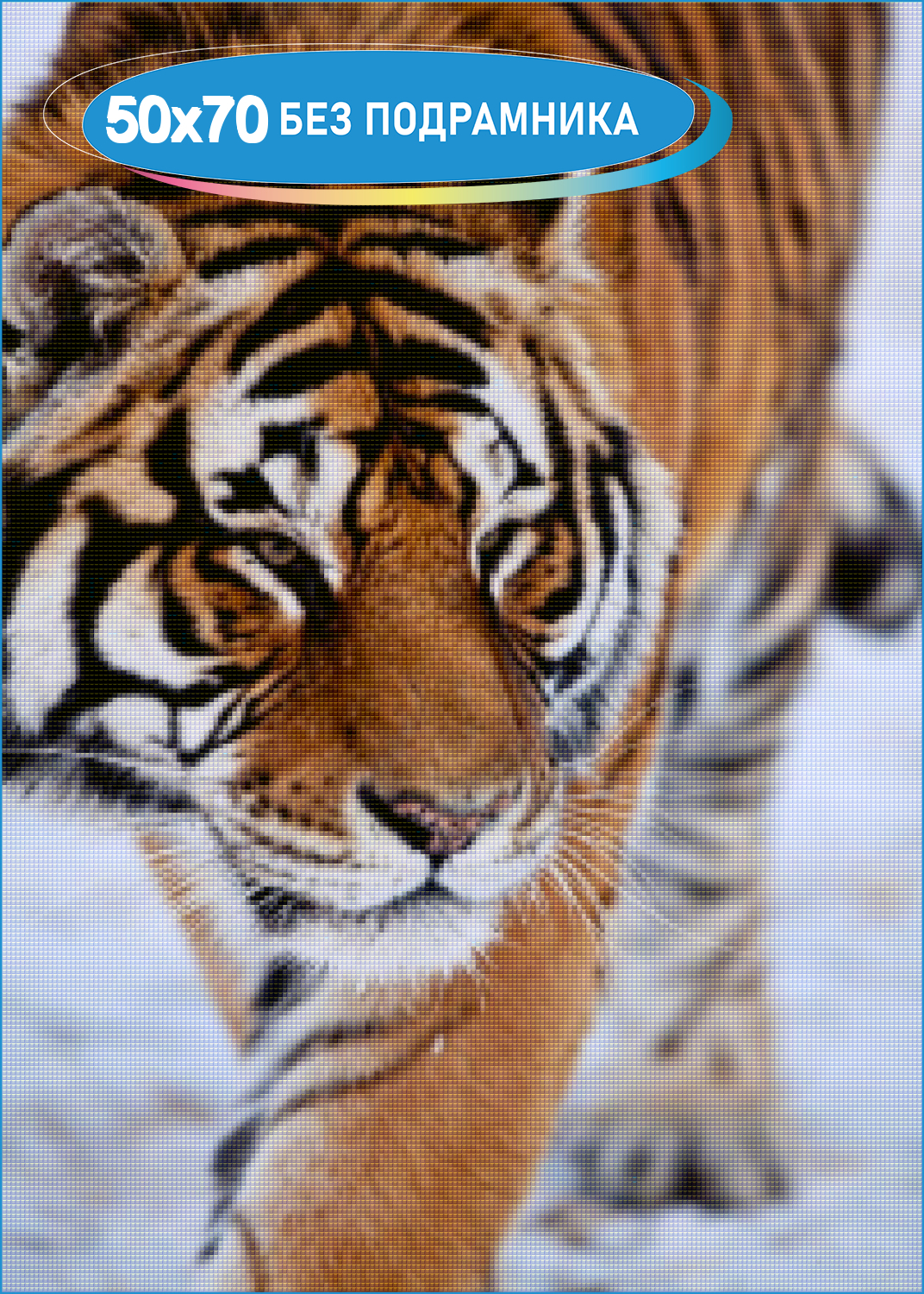 Тиг р. Амурский тигр. Уссурийский тигр. Южно-китайский тигр. Красивый тигр.