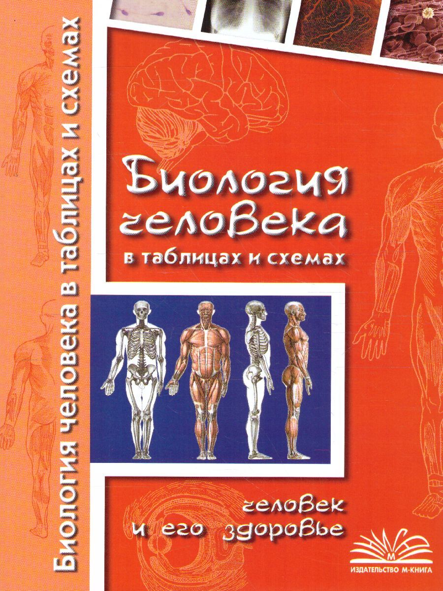 Биология человека в таблицах и схемах. Человек и его здоровье | Бодрова  Наталья Федоровна - купить с доставкой по выгодным ценам в  интернет-магазине OZON (618139838)