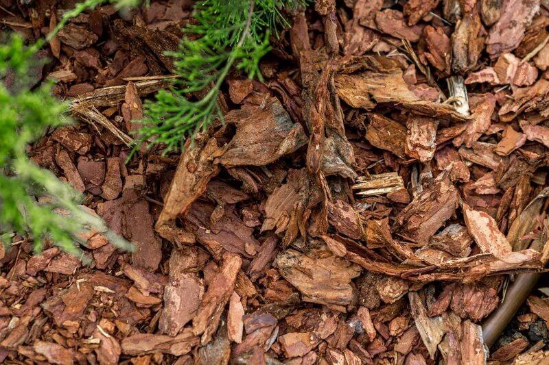 Мульчирование почвы корой лиственницы фото