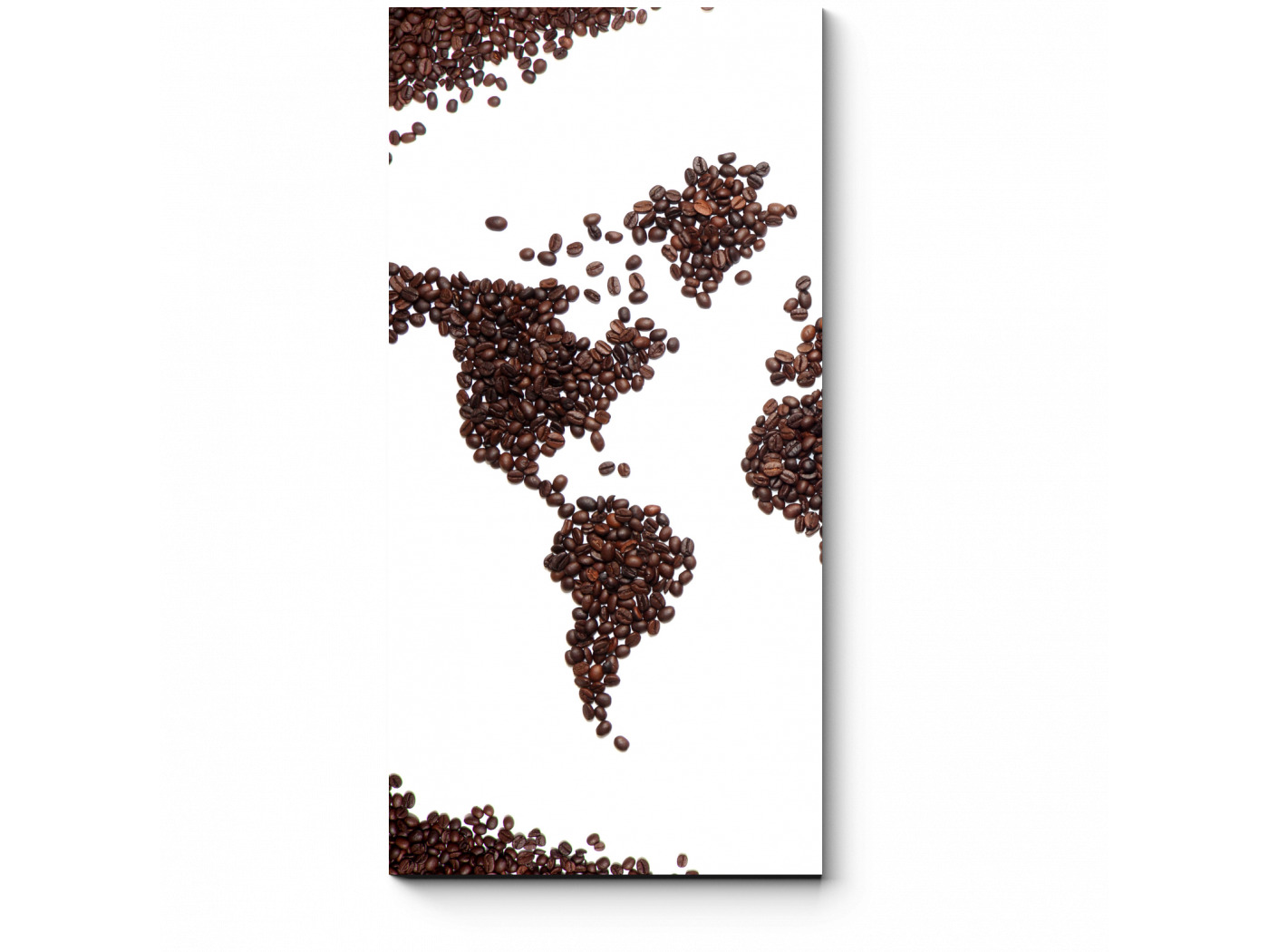 Surfer coffee карта