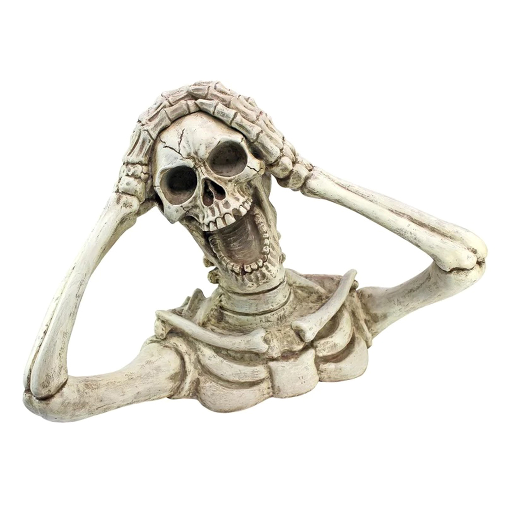 скелет в виде раковины