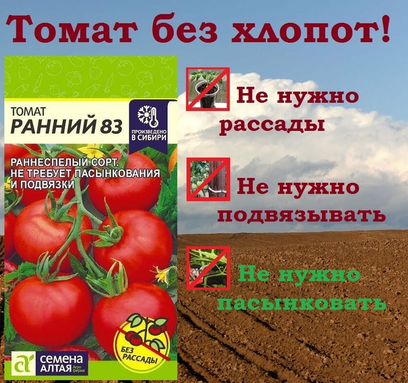 Томат сорт ранний 83 отзывы. Семена алтая ранний 83. семена алтая ранние томаты. томат ранний. помидор скороспелый ранний.