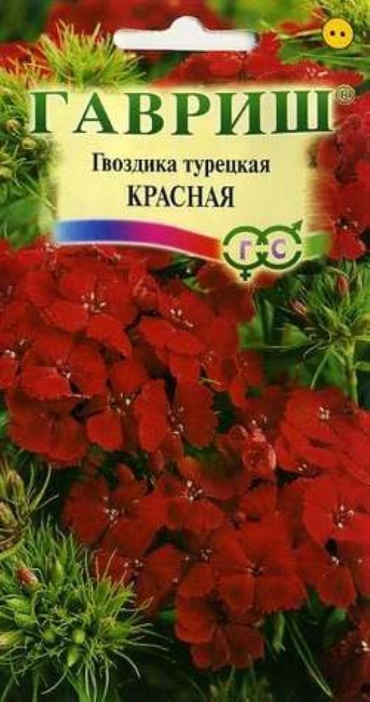 Турецкие гвоздики купить