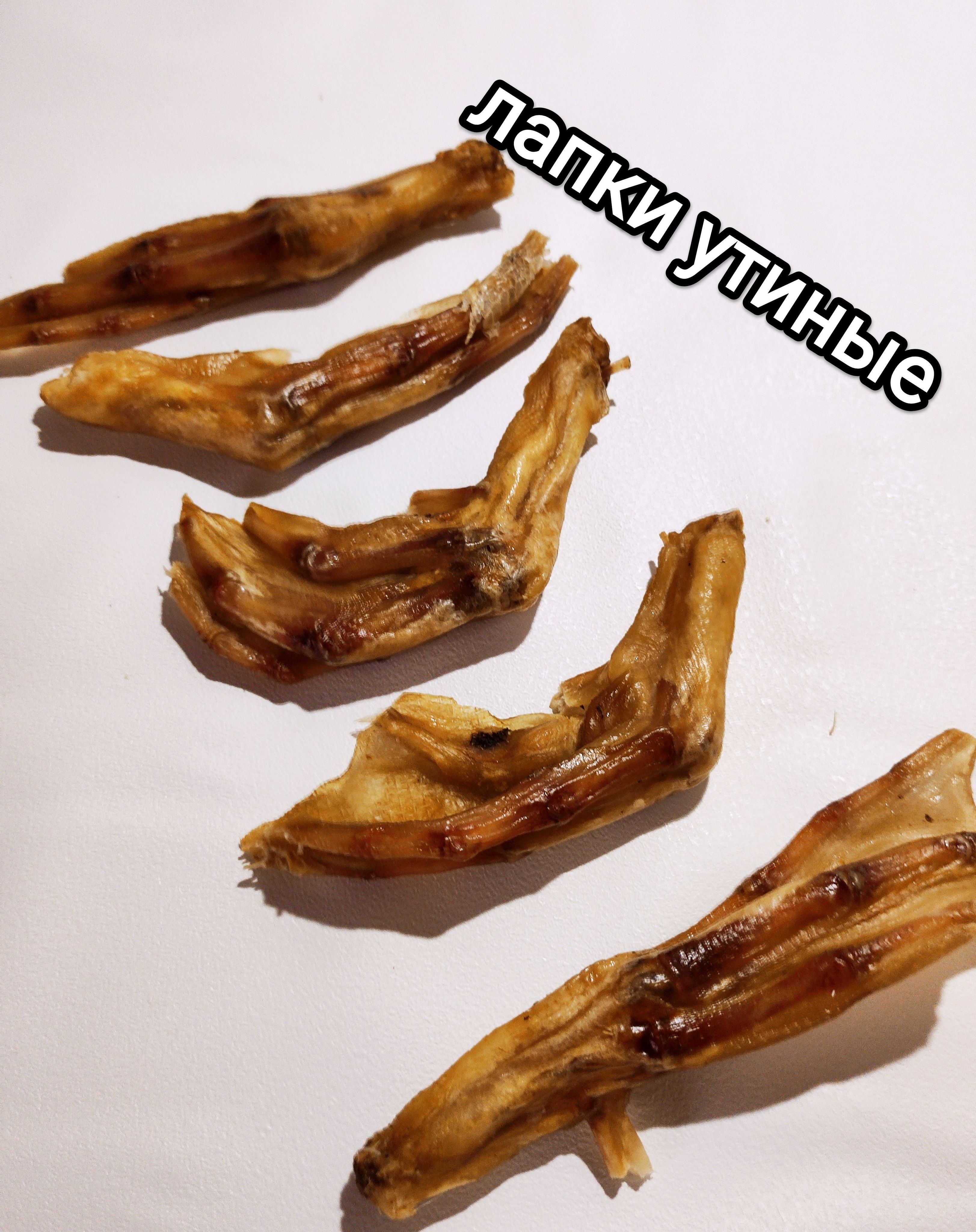 Лапы утки