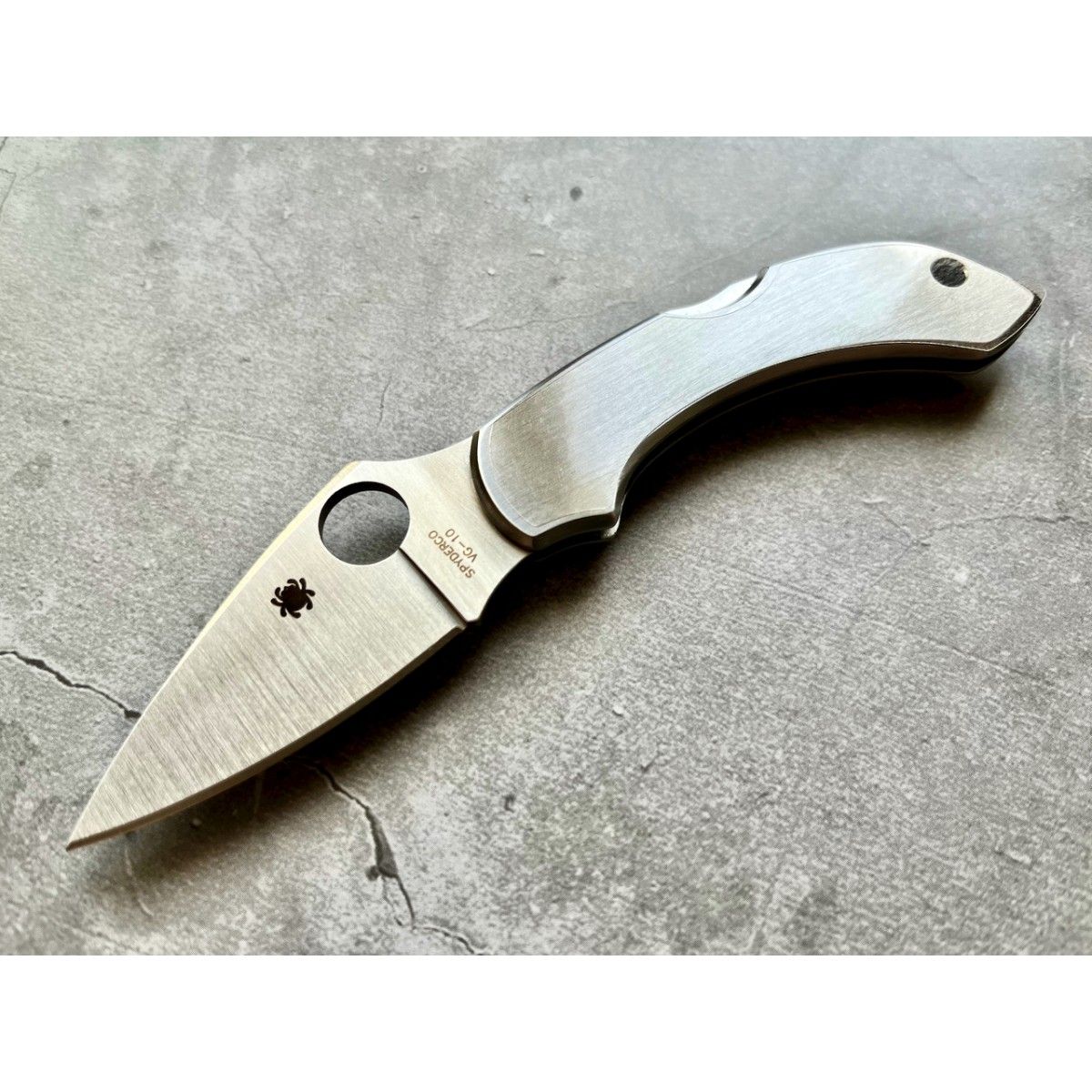 Нож складной Spyderco C28P Dragonfly 2, Stainless Steel Handle