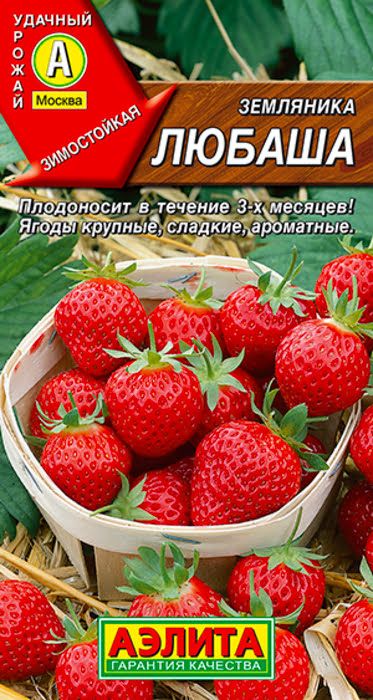 Земляникакрупноплоднаяремонтантная"Любаша"семенаАэлитадляоткрытогогрунтаитеплицы,10шт