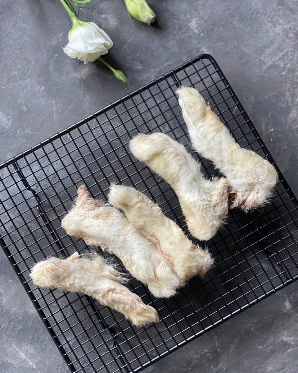 Лапы зайца