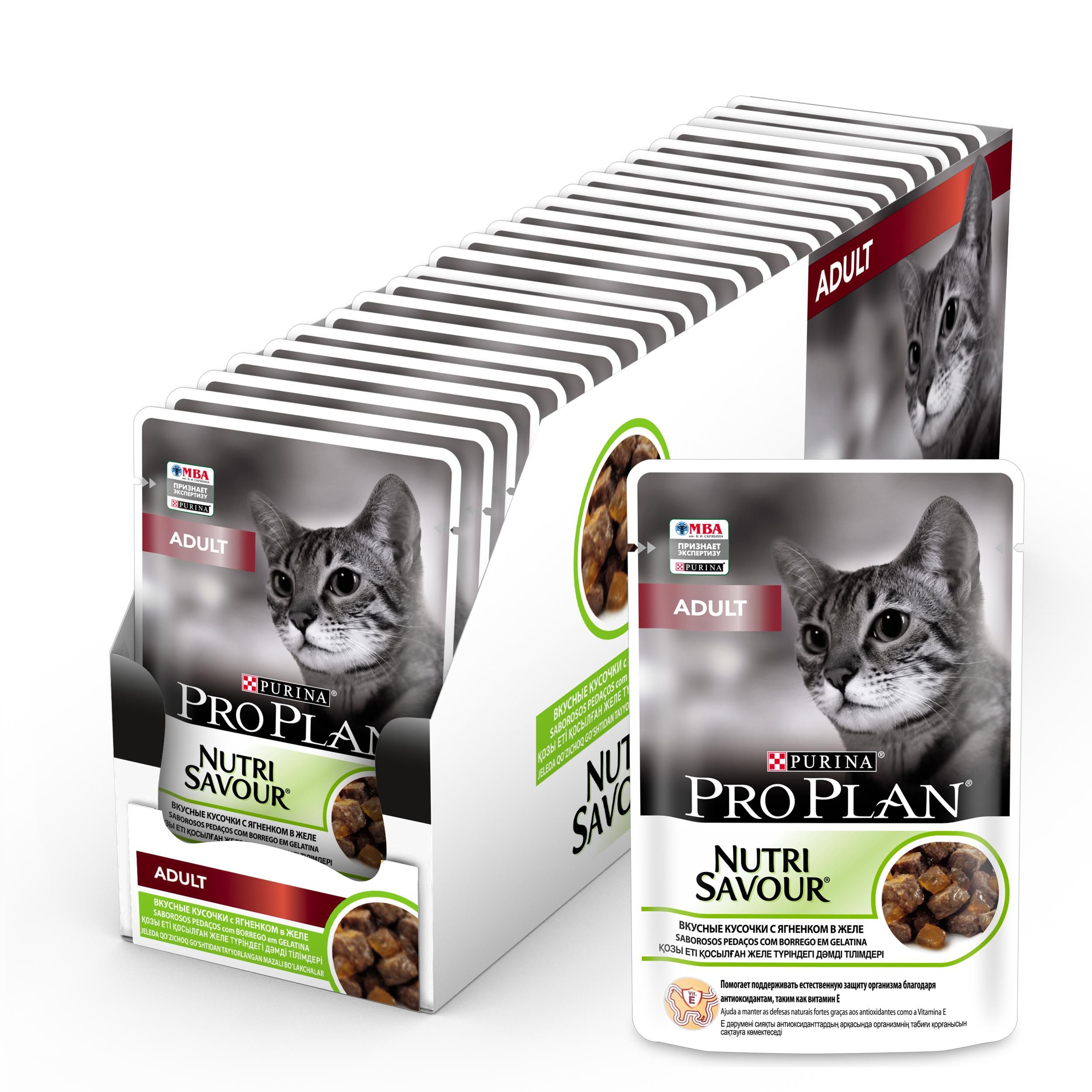 Купить Корм Pro Plan Для Котят