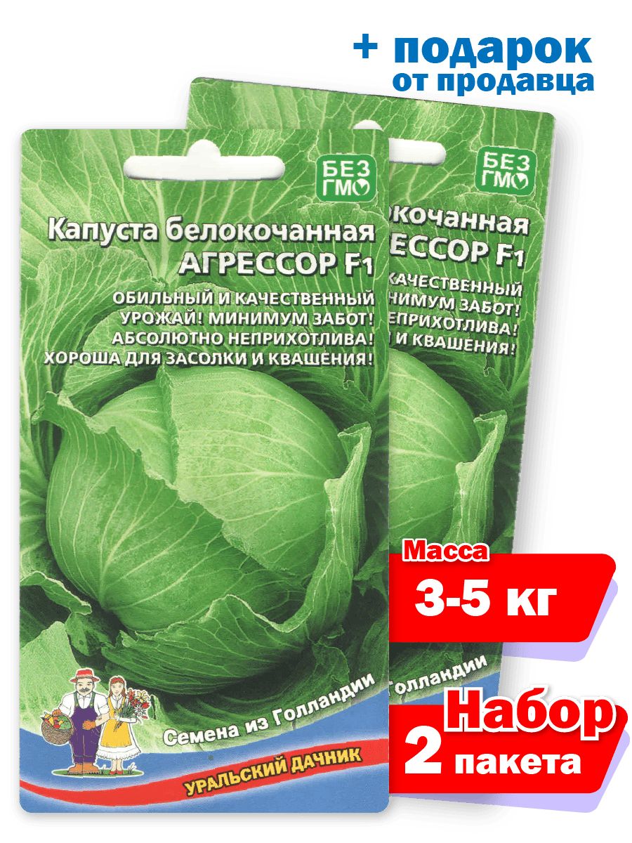Капуста Уральский дачник ��ап1 - купить по выгодным ценам винтернет-магазине OZON (782552267)