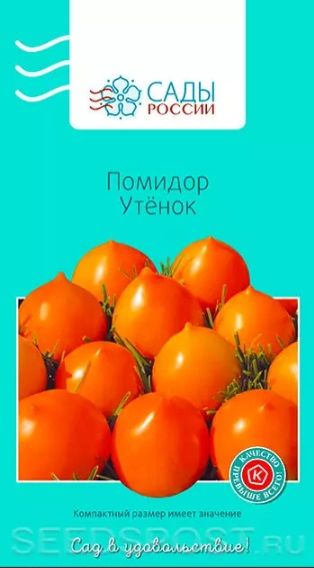 Помидор утенок фото Томаты Сады России томат - купить по выгодным ценам в интернет-магазине OZON (79