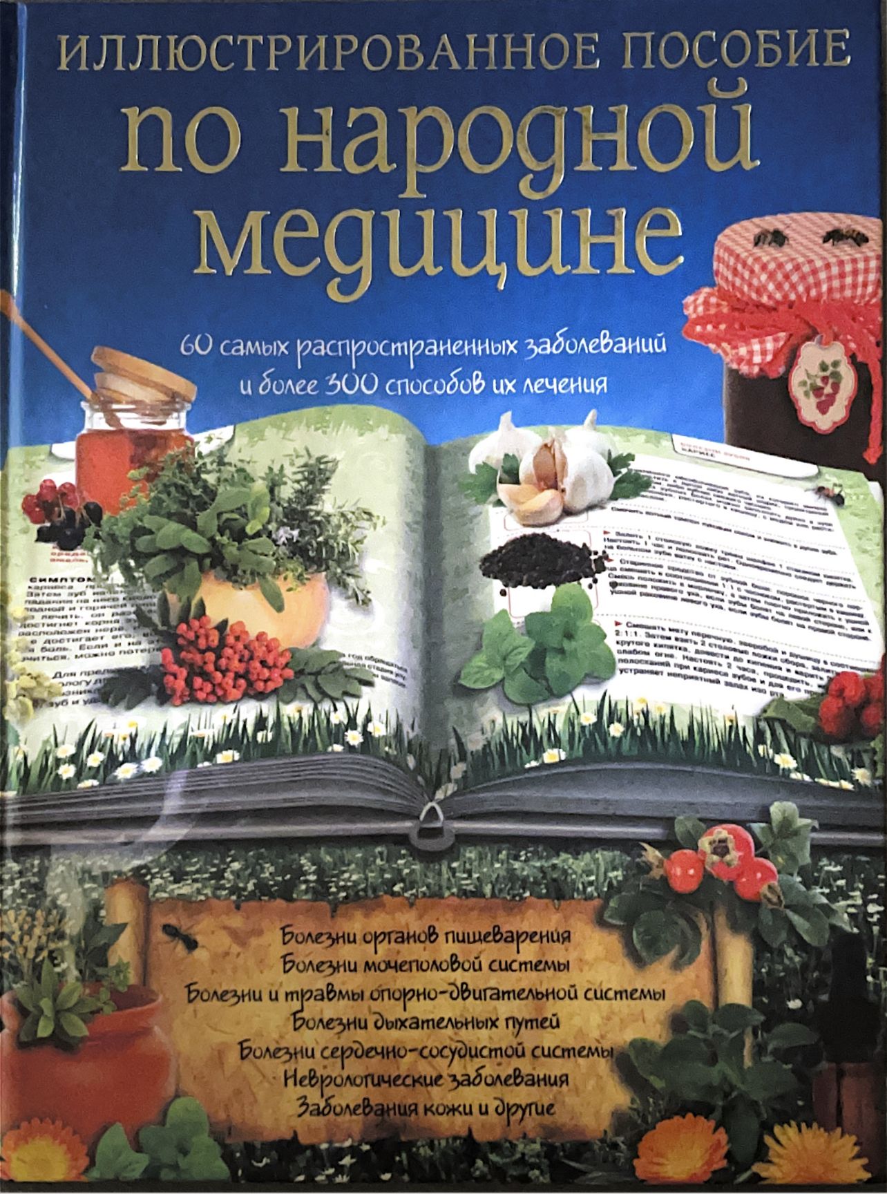 Иллюстрированное пособие по народной медицине | Кулагина Е. - купить с  доставкой по выгодным ценам в интернет-магазине OZON (816484387)