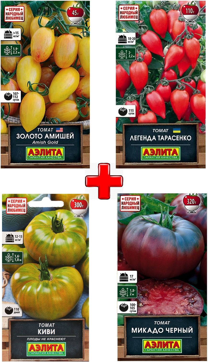 Помидоры сорт легенда тарасенко. Сорт томата легенда тарасенко описание. Томат легенда мультифлора. Помидоры сорт легенда тарасенко. Сорт томата легенда тарасенко описание.