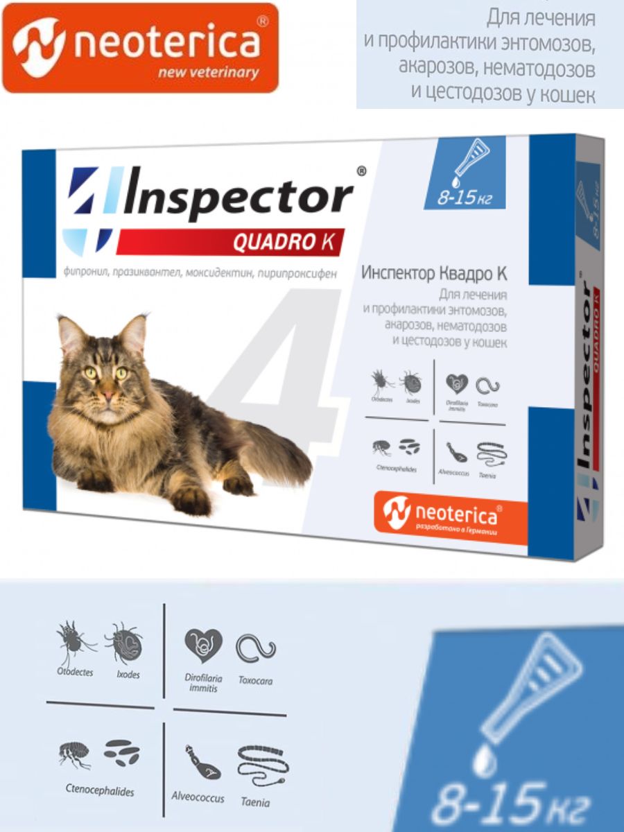 Капли инспектор для кошек купить. Inspector от блох и глистов. Inspector Quadro для кошек от 8 до 15 кг. Инспектор Квадро к для кошек. Инспектор для кошек от клещей и глистов.