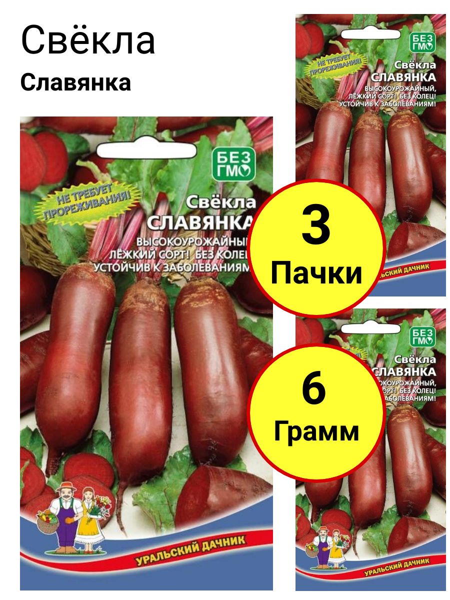 Свекла Славянка Описание Сорта Фото