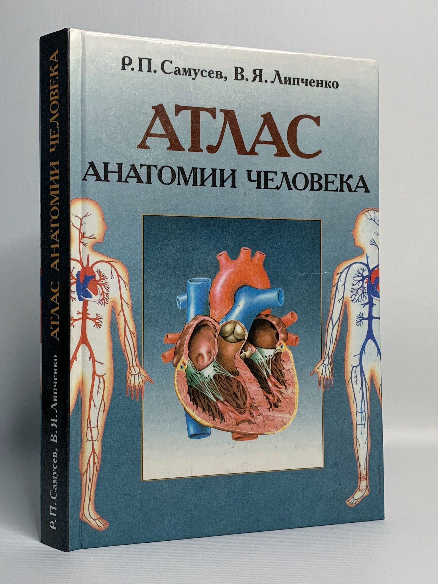 Анатомия липченко самусев. Анатомический атлас человека. Фрэнк Неттер атлас. Атлас анатомии человека Синельников. Самусев анатомия человека учебник.