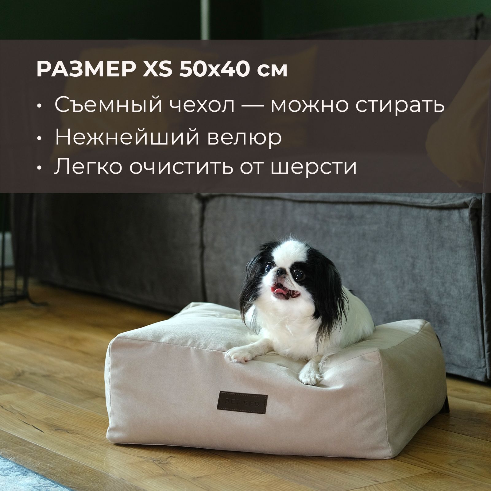 Лежанка-матрас для собак со съемным чехлом PET BED Велюр, размер XS 50х40  см, бежевый - купить с доставкой по выгодным ценам в интернет-магазине OZON  (763899895)