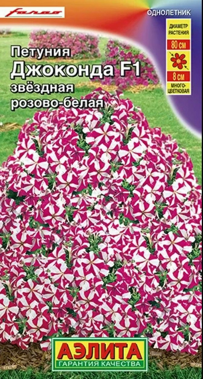 Петуния Яблоневый Цвет Купить