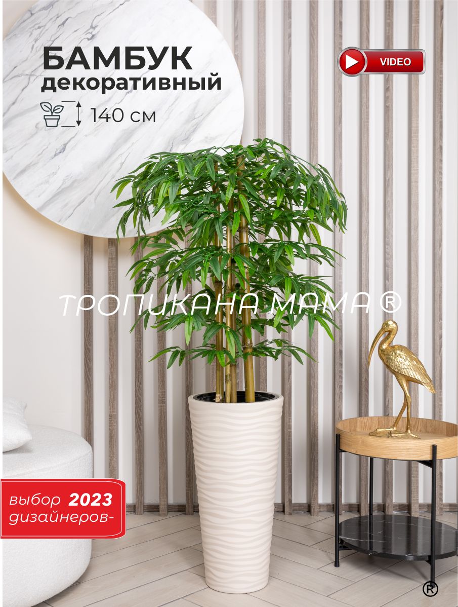 Как использовать бамбук в интерьере: 6 лучших идей | steklorez69.ru