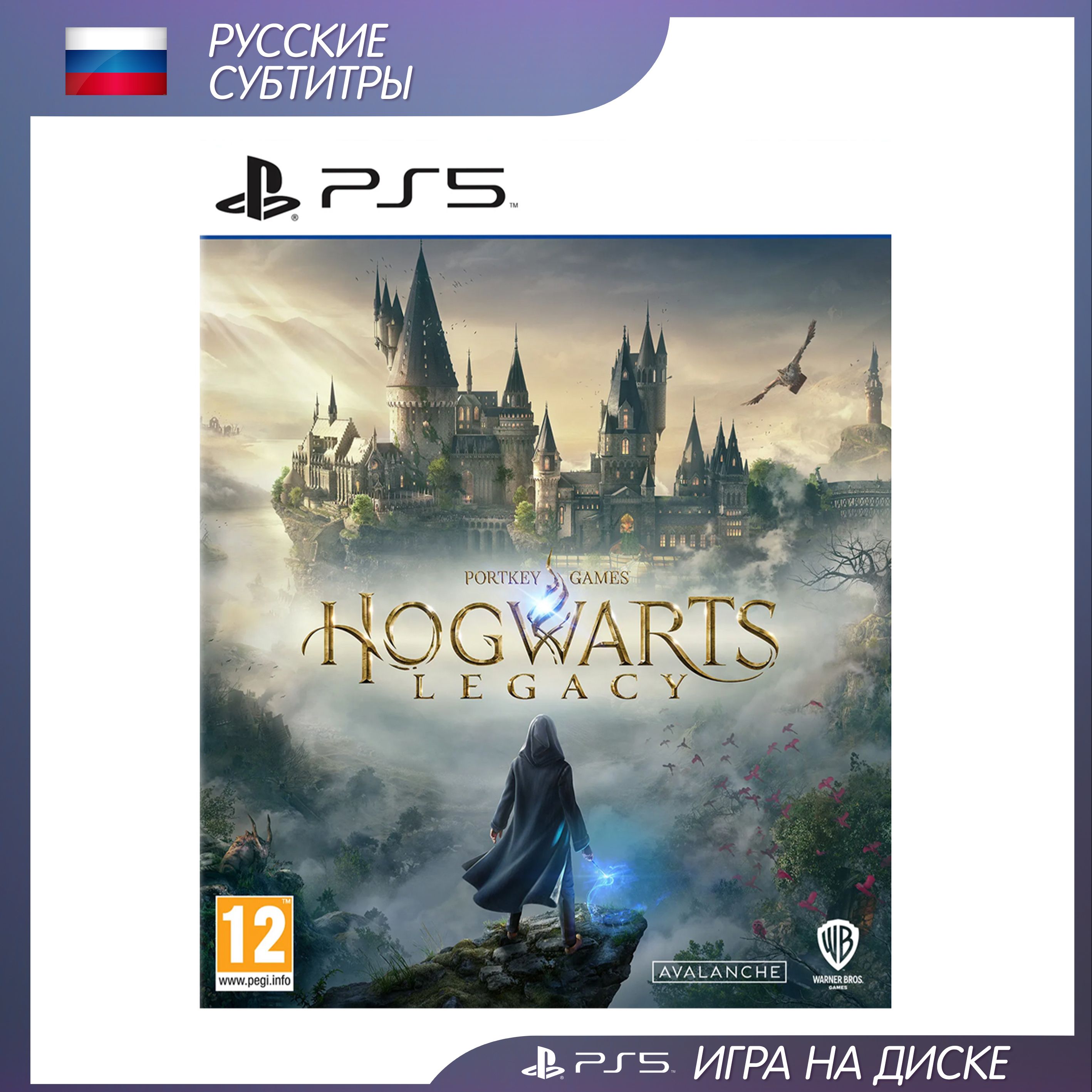 Hogwarts legacy ps5. Гарри Поттер Hogwarts Legacy. Хогвартс 2021.