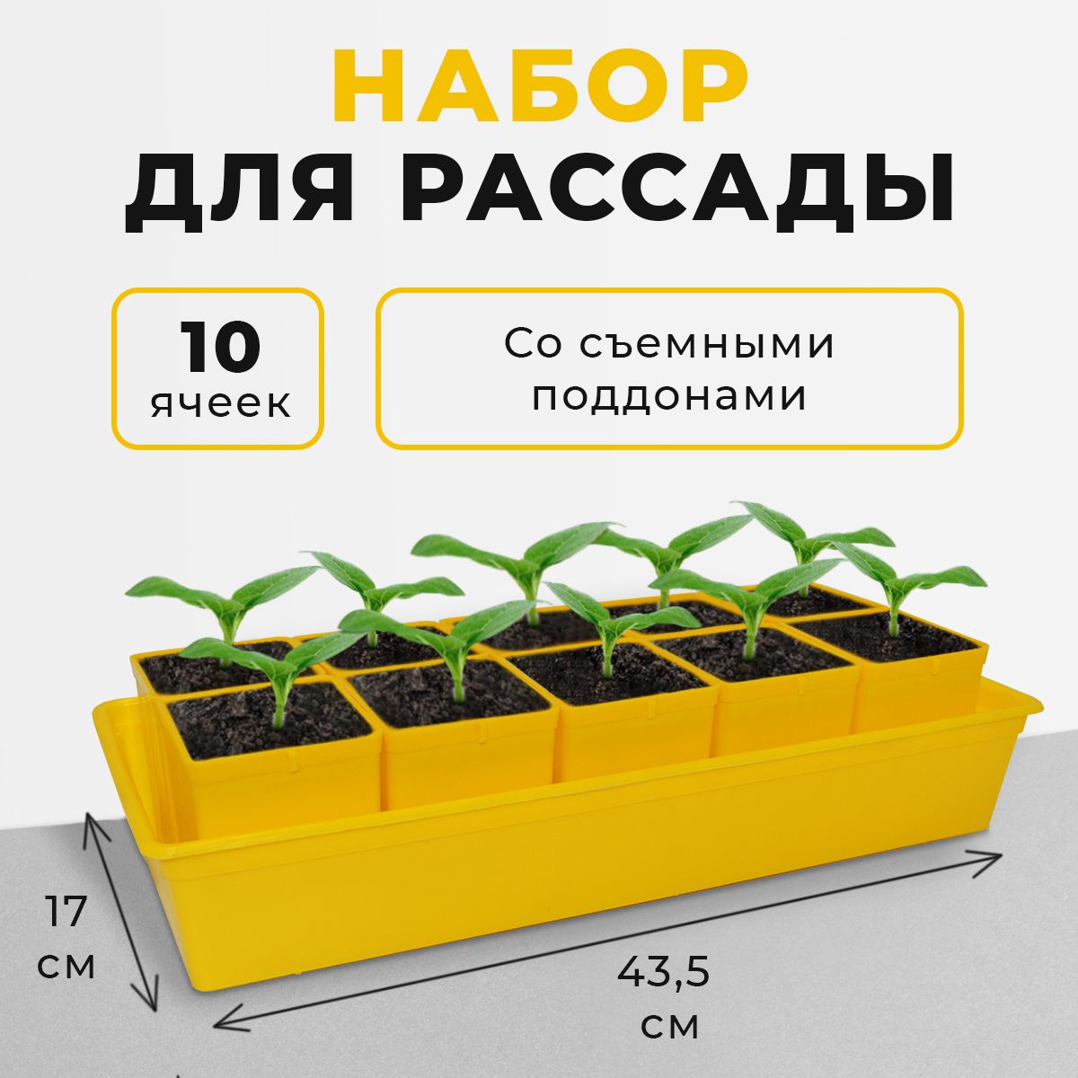 Набор для рассады, цветов (+ ящик), кассеты для рассады с поддоном (10 шт по 500 мл), контейнер и горшки со съемным дном