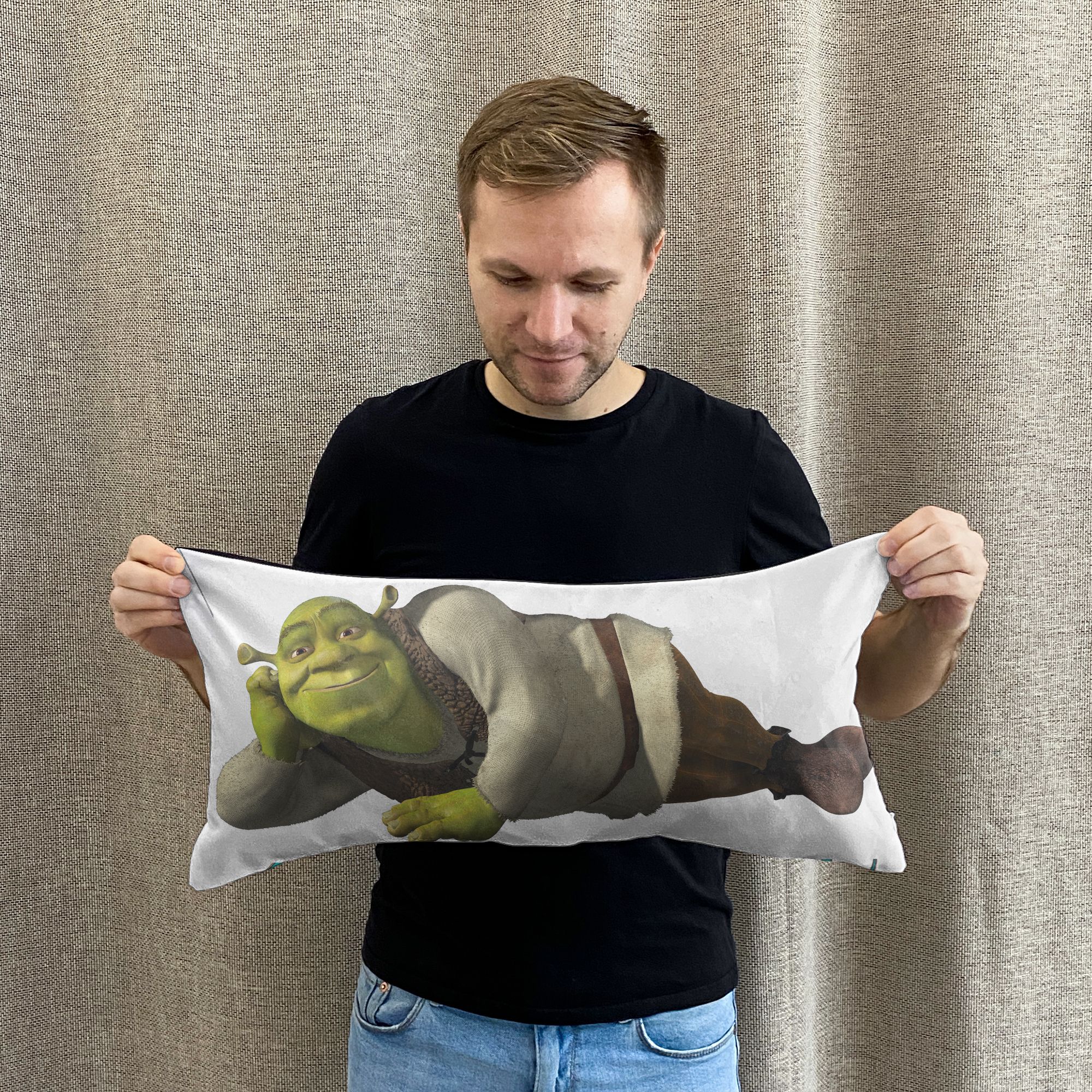 Дакимакура со шреком
