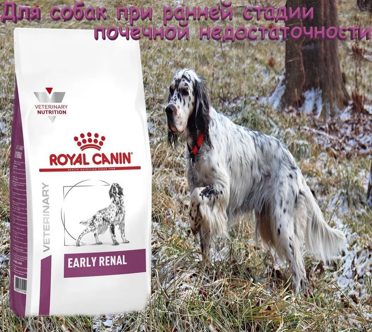 Early renal сухой корм. Royal Canin early renal. Роял Канин Эрли Реал. Корм Роял Канин Ренал для собак гранулы.