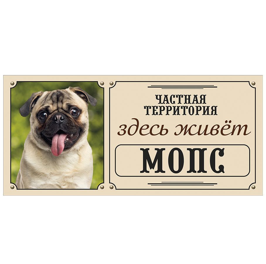 Где тут собака. Злая собака на белом фоне. шкафчик хозяина табличка.