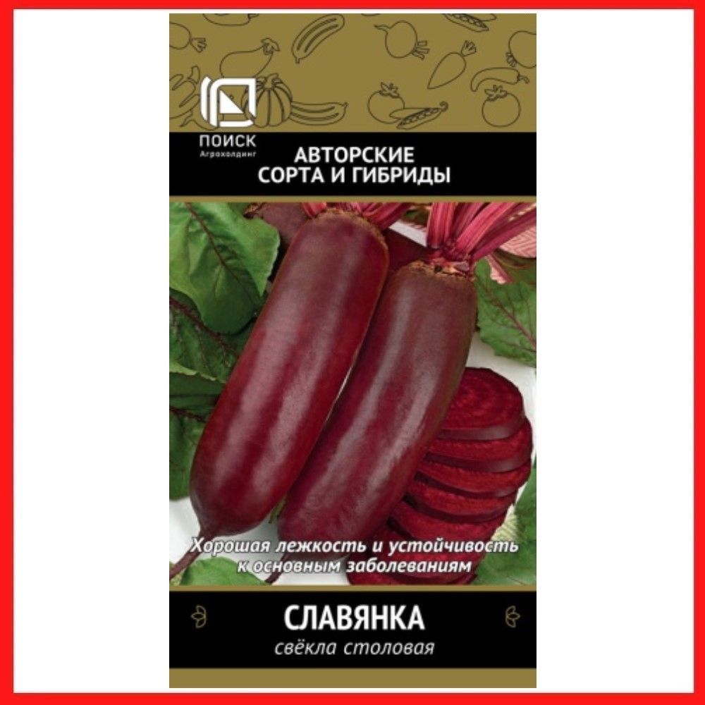 Свекла Славянка Описание Сорта Фото