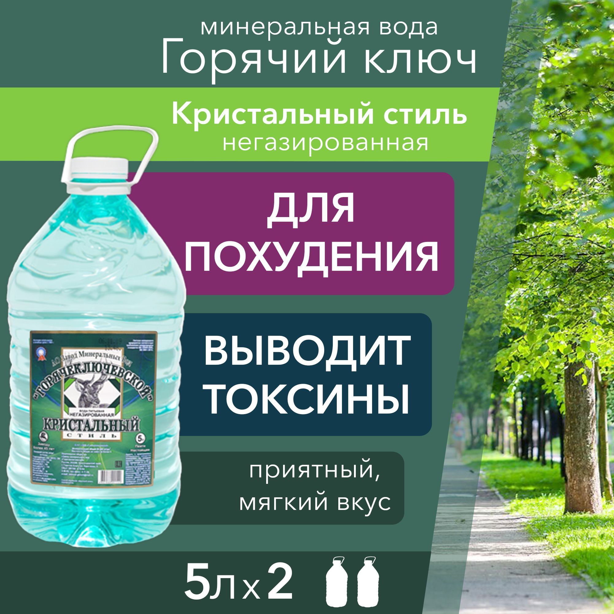 Вода Минеральная Негазированная 5000мл. 2шт - купить с доставкой по  выгодным ценам в интернет-магазине OZON (980830622)