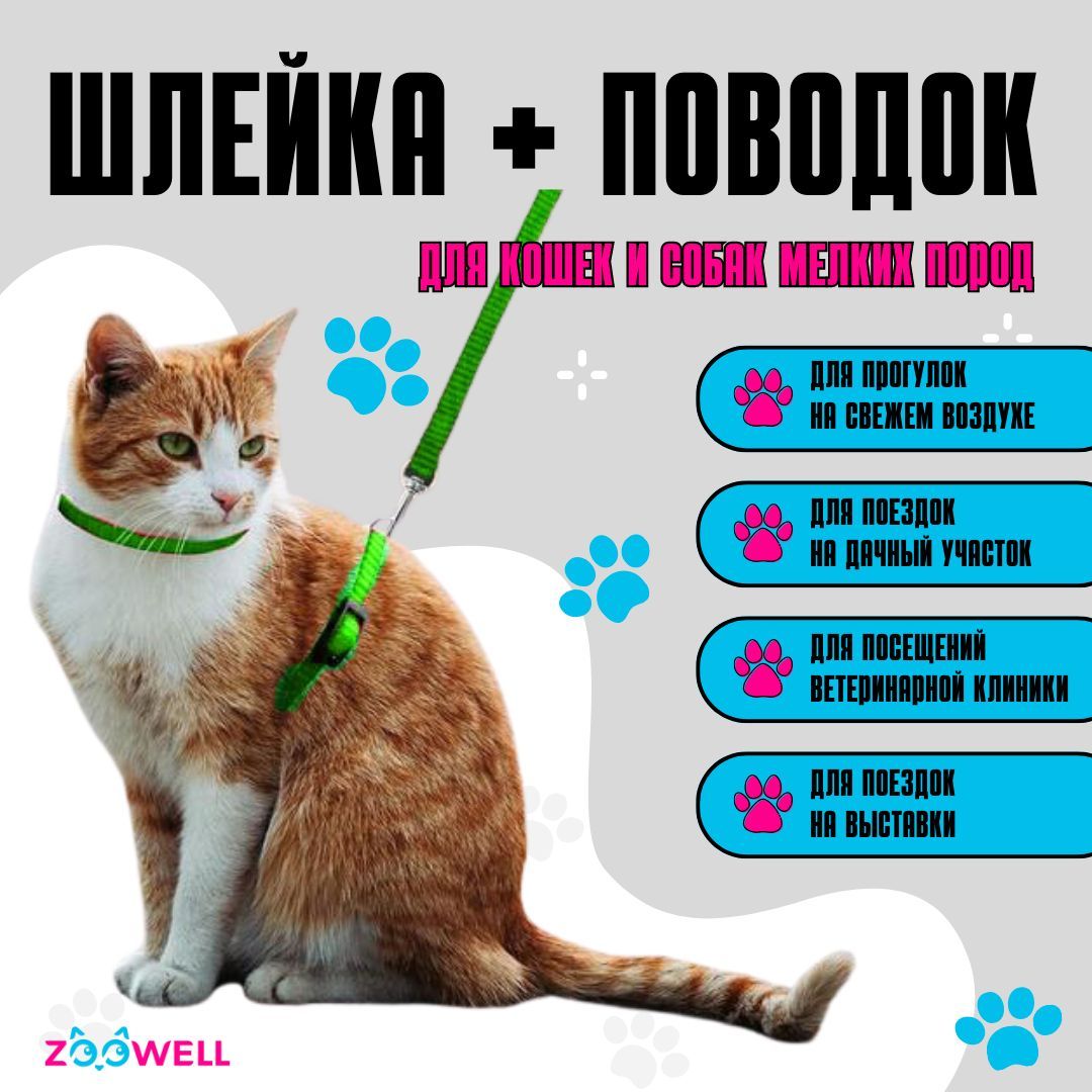 Шлейка с поводком для кошек, котят, кролика, для маленьких пород собак, с  поводком (салатовый). - купить с доставкой по выгодным ценам в  интернет-магазине OZON (708470884)